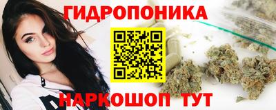 прущие крисы Кулебаки