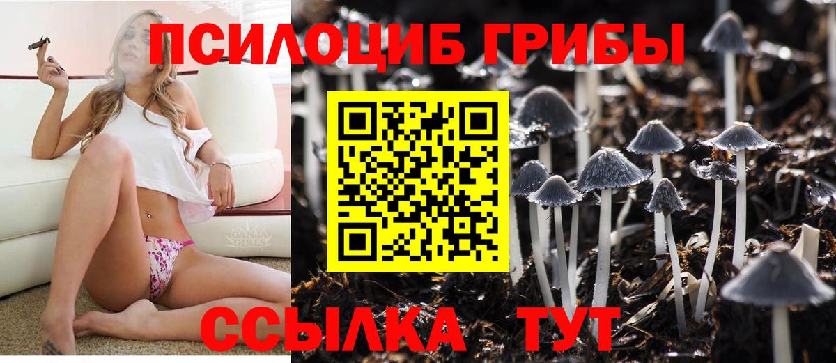 Гагарин  Галлюциногенные грибы ЛСД  Вход с VPN  Галлюциногенные грибы MAGIC MUSHROOMS 